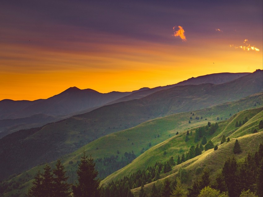 hill, trees, grass, sunset