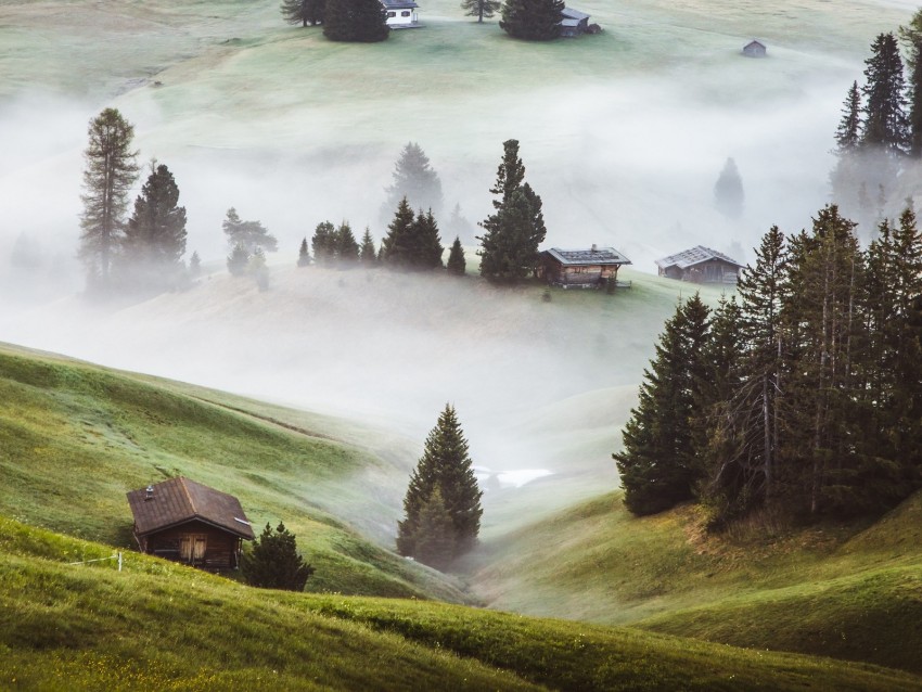 hills, fog, trees, buildings, slope