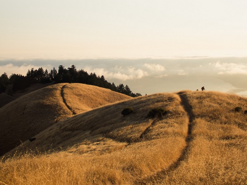 hills, mountains, path, landscape, height