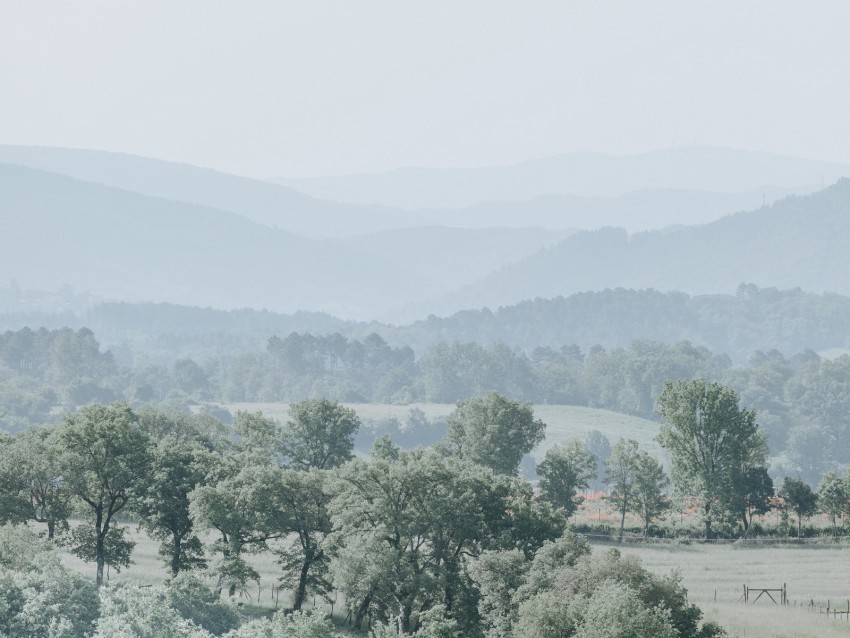 hills, trees, fog, horizon, landscape