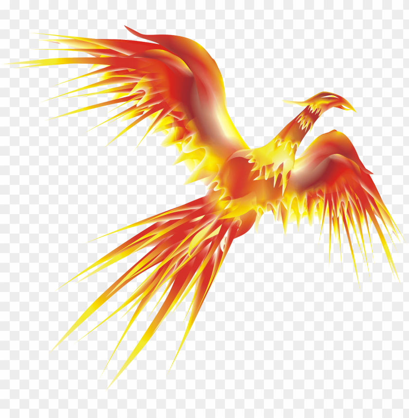 bird, drawing, coreldraw, sketch, phoenix, isolated, flash