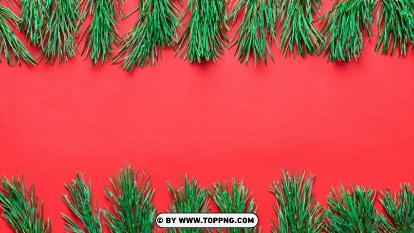 Holiday-themed Wallpaper Red And Green Pine Branches PNG Transparent Background