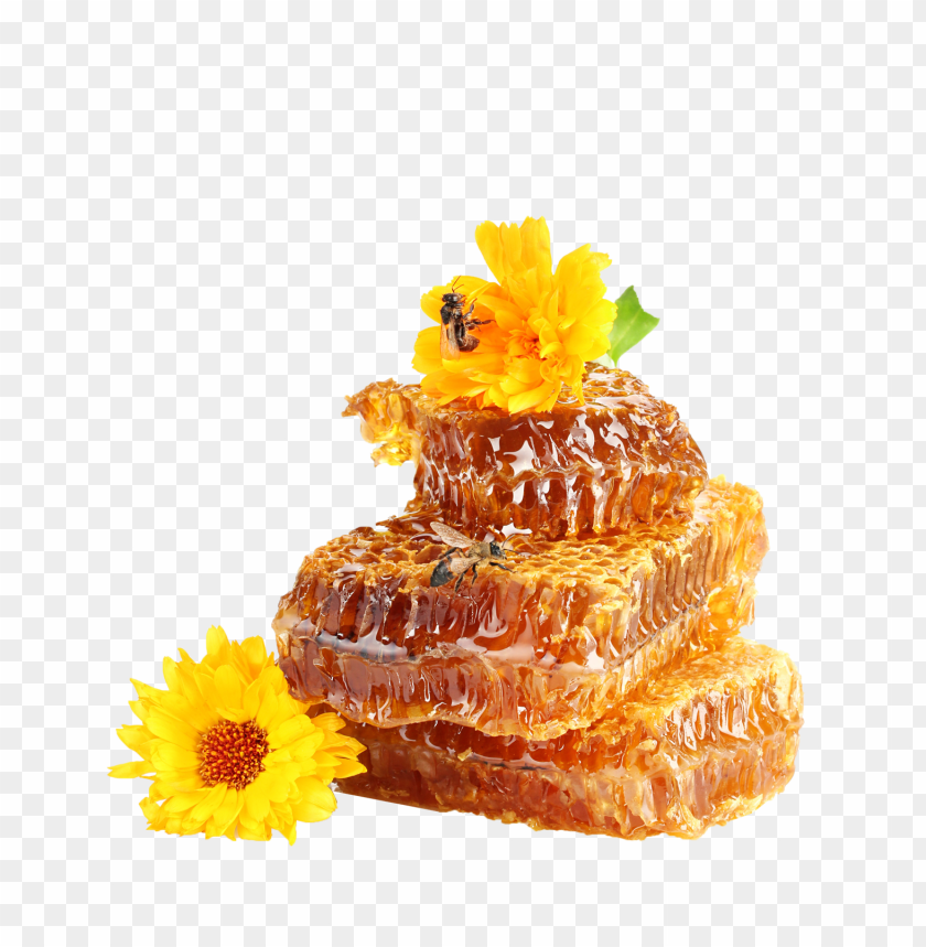 honey, food, honey food, honey food png file, honey food png hd, honey food png, honey food transparent png