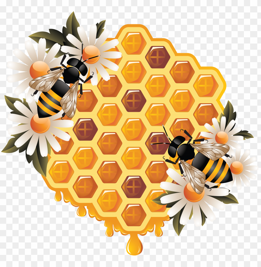 honey, food, honey food, honey food png file, honey food png hd, honey food png, honey food transparent png