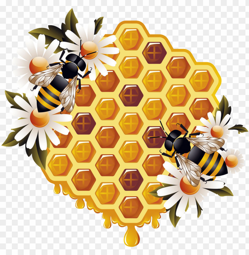 honey, food, honey food, honey food png file, honey food png hd, honey food png, honey food transparent png