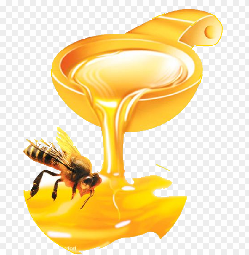 honey, food, honey food, honey food png file, honey food png hd, honey food png, honey food transparent png