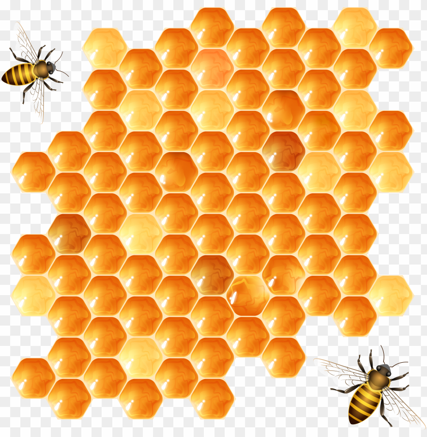 honey, food, honey food, honey food png file, honey food png hd, honey food png, honey food transparent png