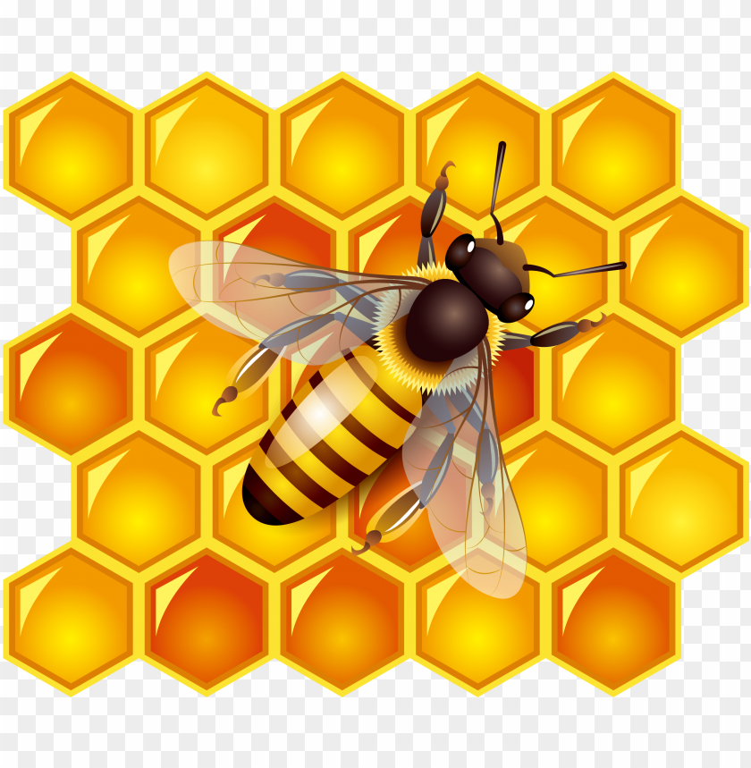 honey, food, honey food, honey food png file, honey food png hd, honey food png, honey food transparent png