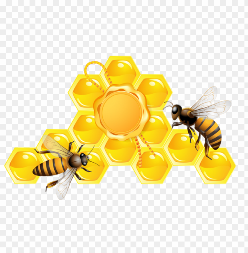 honey, food, honey food, honey food png file, honey food png hd, honey food png, honey food transparent png