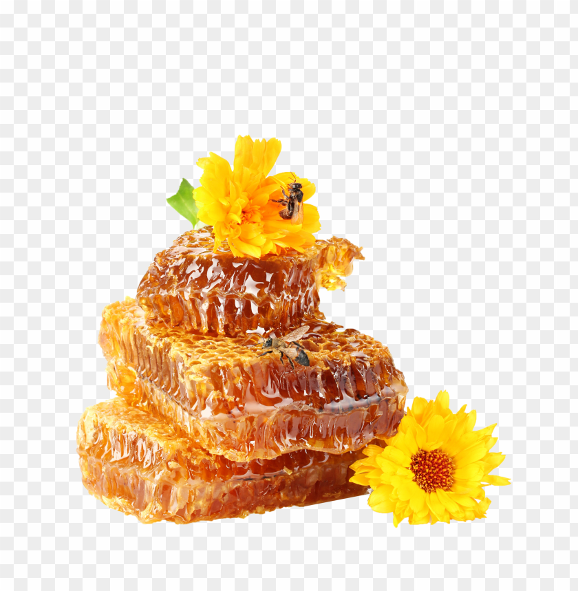 honey, food, honey food, honey food png file, honey food png hd, honey food png, honey food transparent png