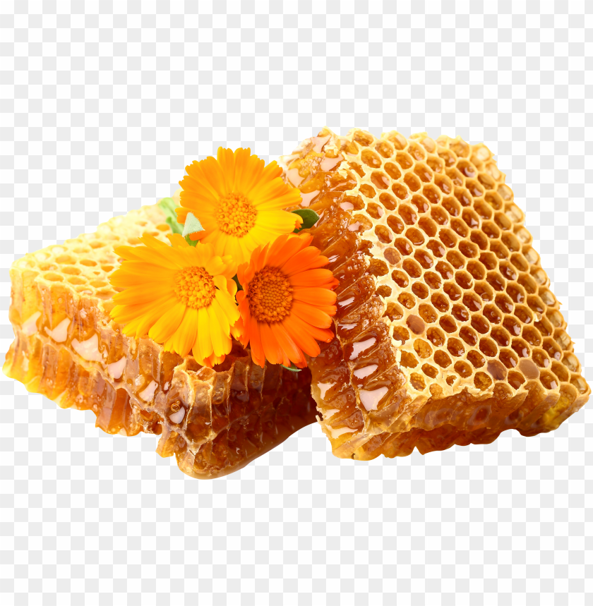 honey, food, honey food, honey food png file, honey food png hd, honey food png, honey food transparent png