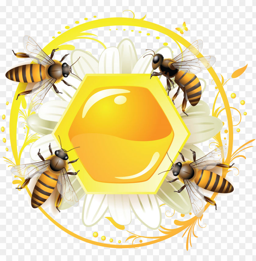 honey, food, honey food, honey food png file, honey food png hd, honey food png, honey food transparent png