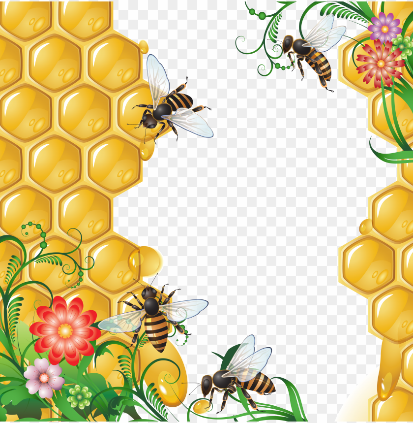 honey, food, honey food, honey food png file, honey food png hd, honey food png, honey food transparent png