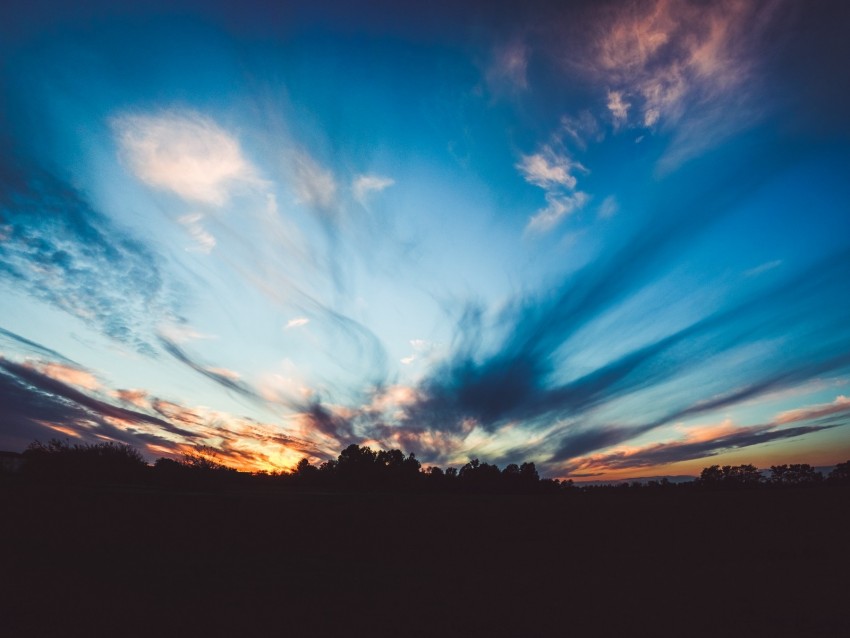 horizon, sunset, trees, sky, twilight, evening