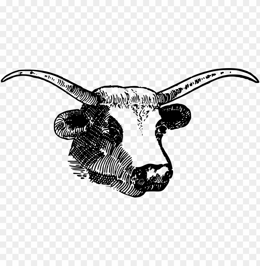 bull head, bull skull, mickey head, head silhouette, cow head, bull