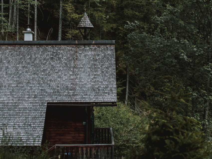 House Building Forest Trees Nature Background