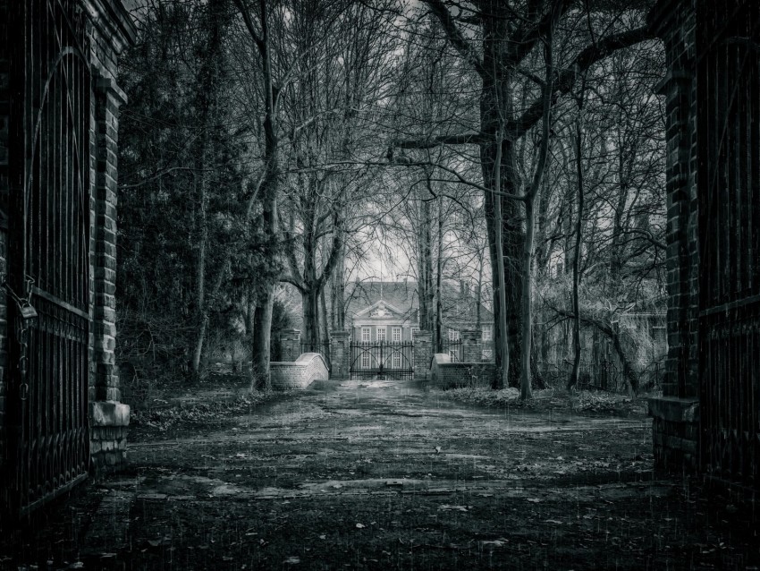 house, bw, rain, branches, fence, gate, mysterious