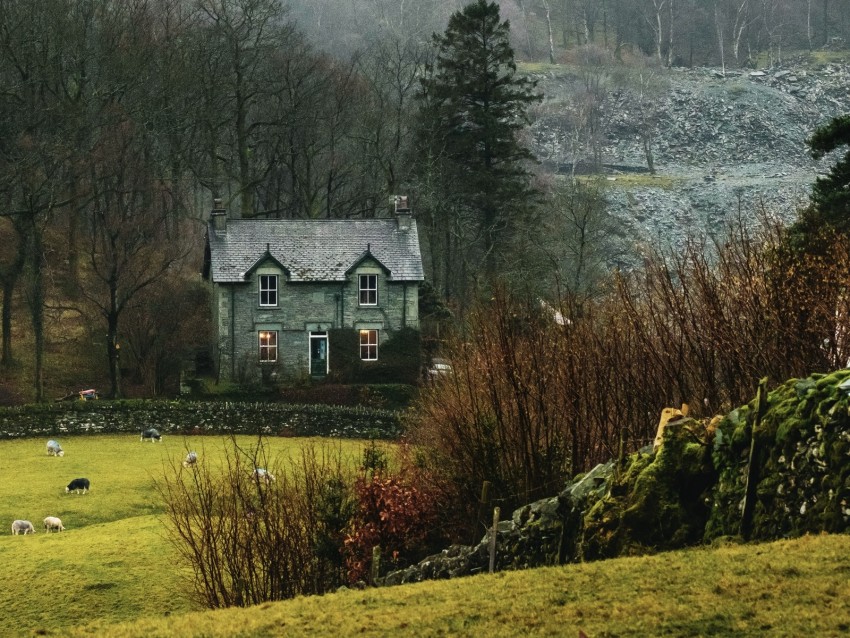 house, fog, grass, landscape, village