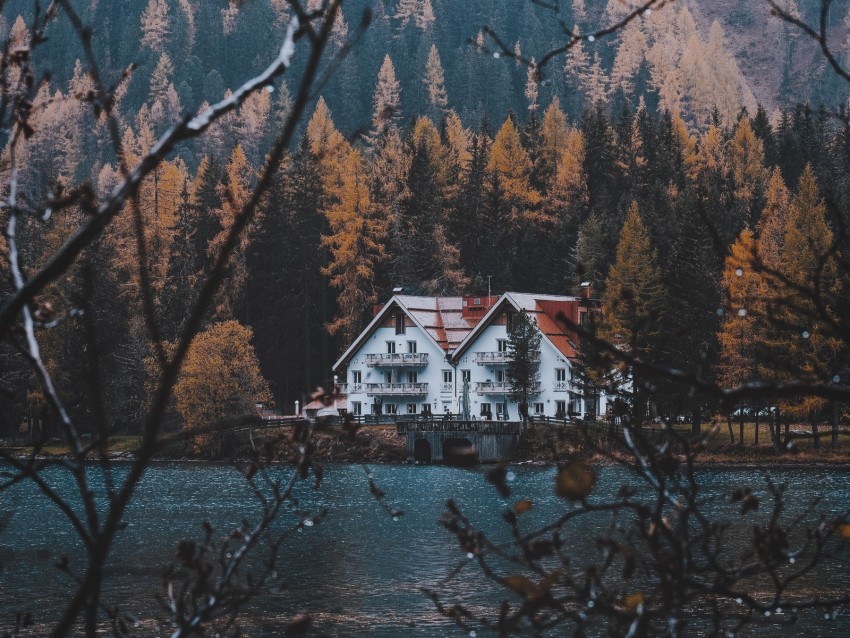 house, lake, branches, autumn