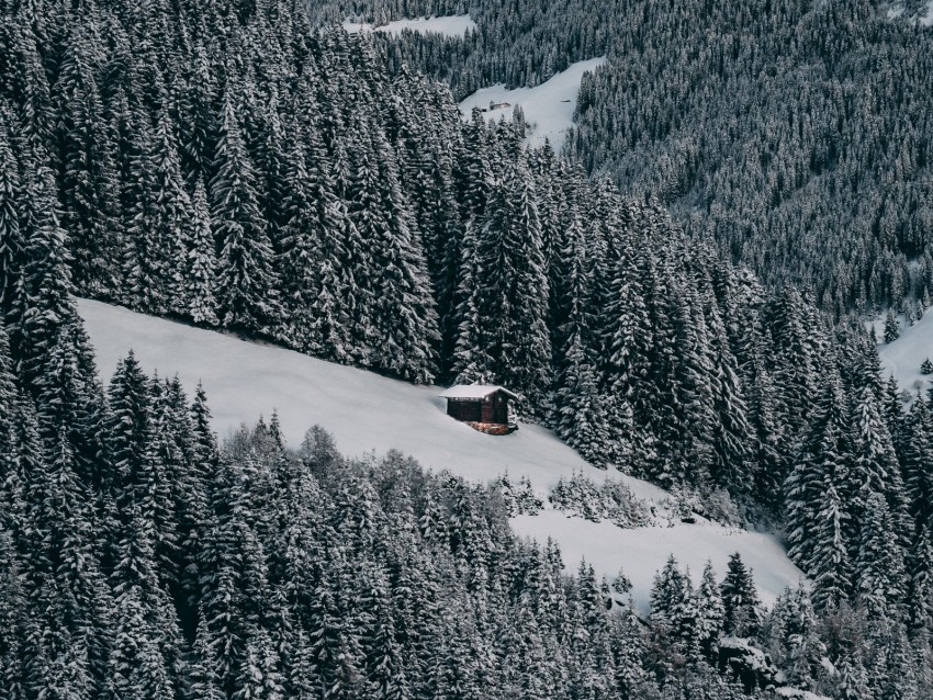 House Snow Hill Forest Winter Trees Sky Background