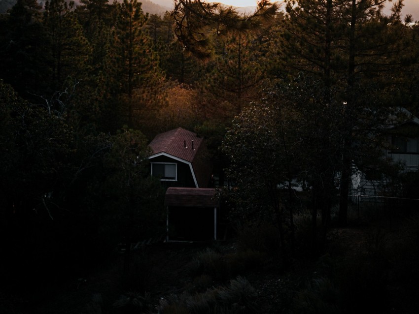 House Trees Aerial View Forest Nature Background