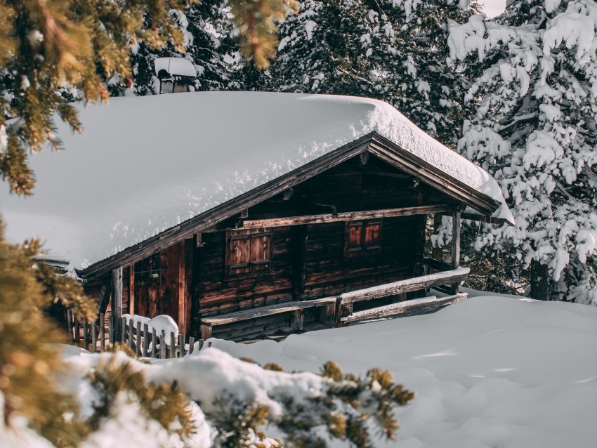 house, winter, snow, trees, branches, comfort