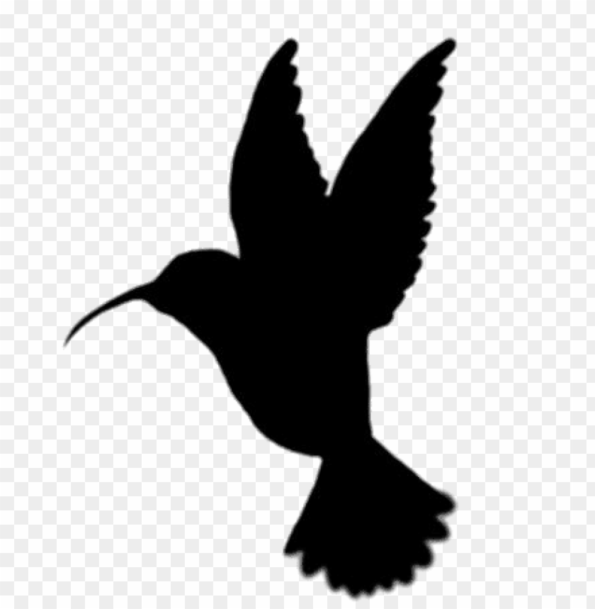 miscellaneous, silhouettes, hummingbird, 