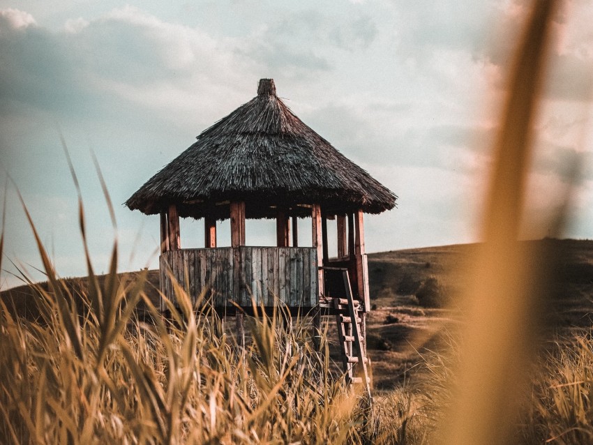 hut, building, wooden, grass