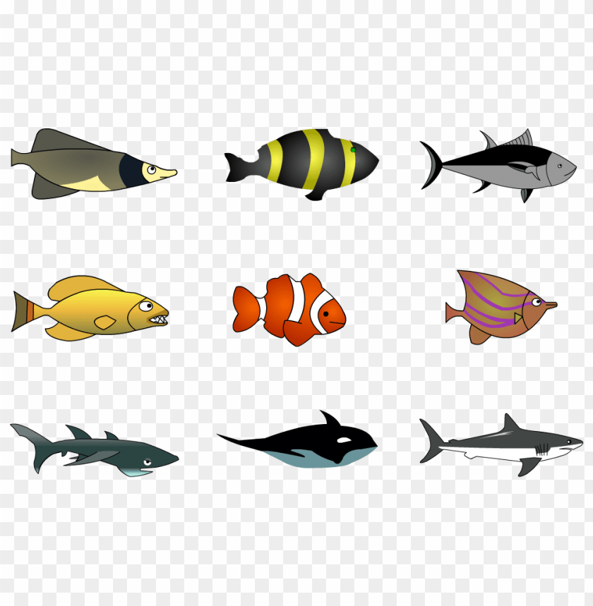 ikan png, png,ikan