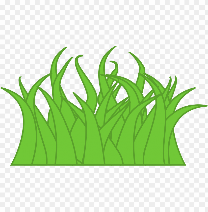 green grass, grass hill, ornamental grass, grass vector, grass border, minecraft grass block