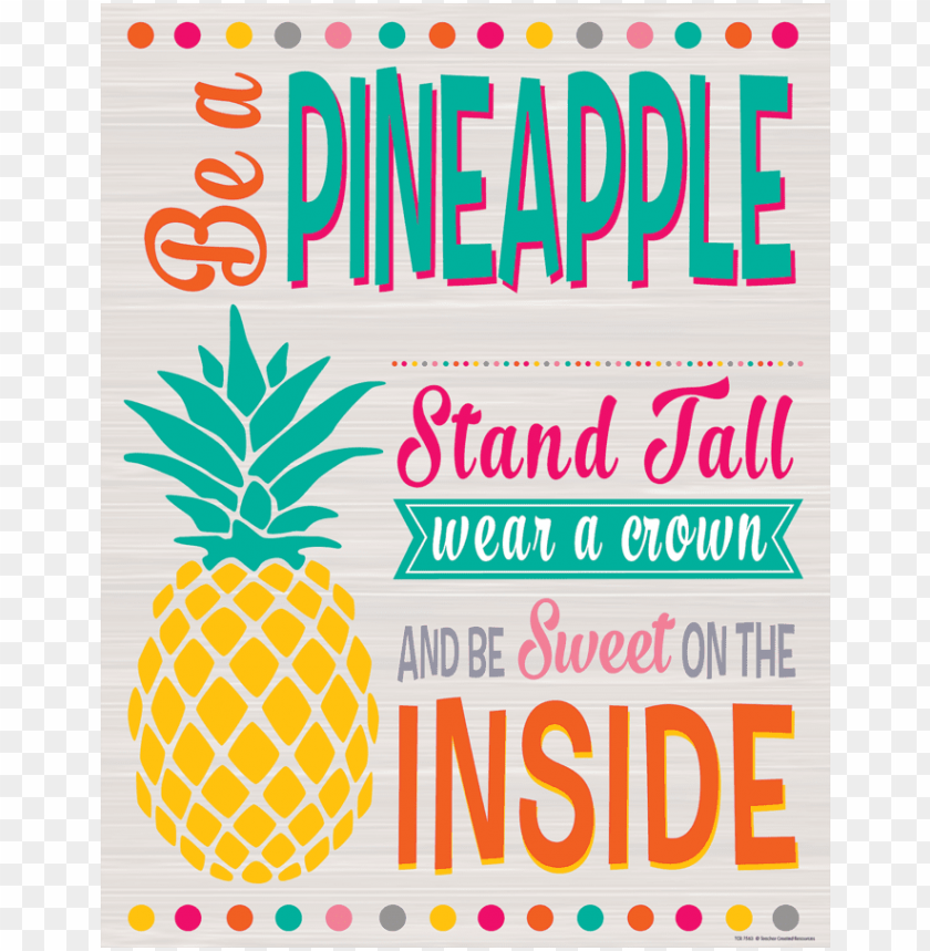 ananas, education, colorful, school, illustration, study, banner