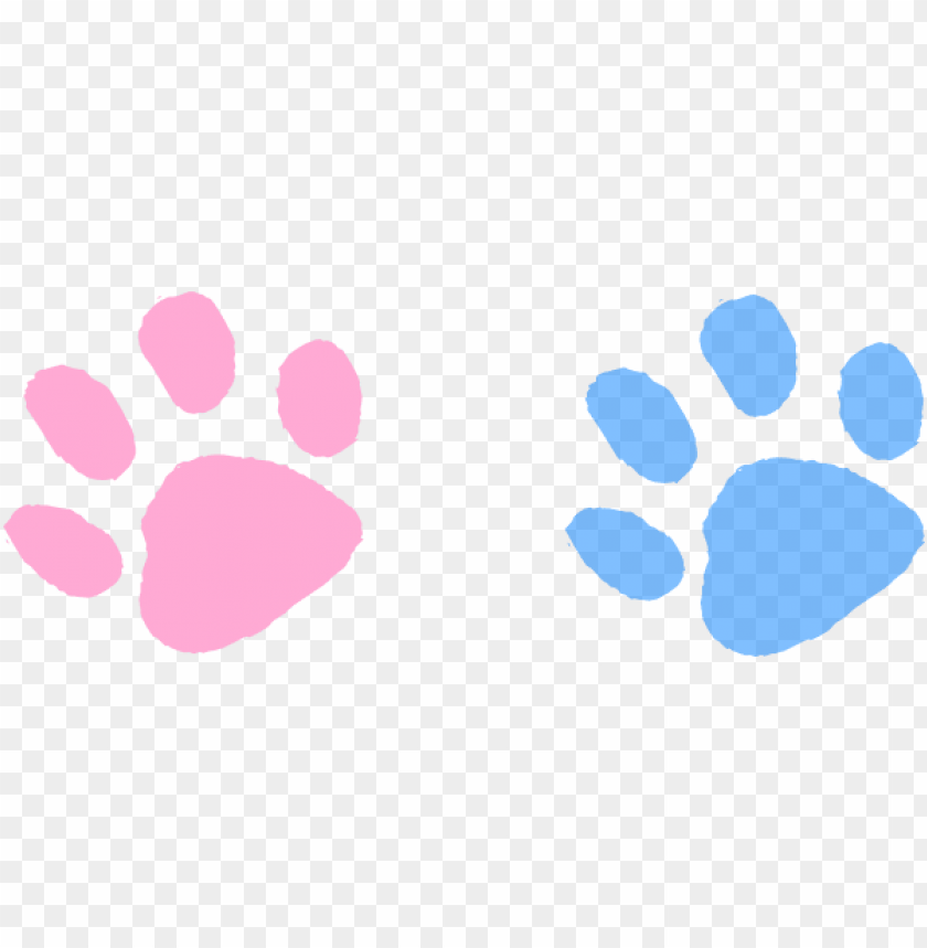 background, paw, isolated, claw, sky, pets, ampersand