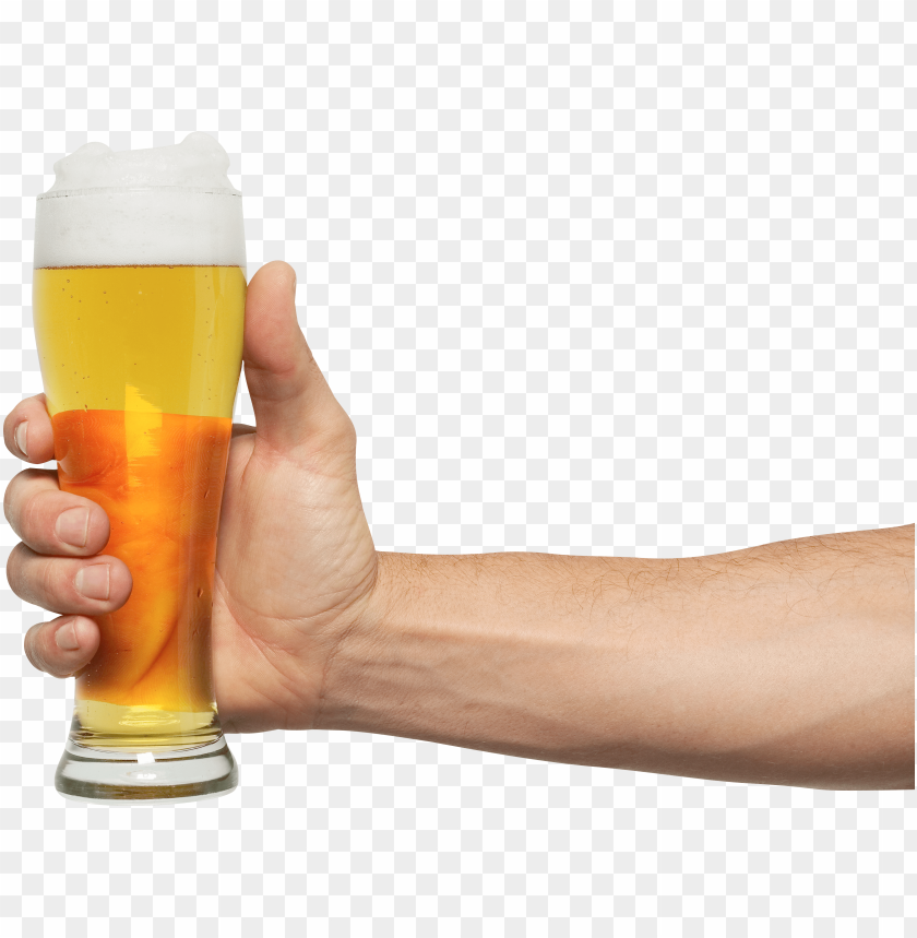 beer, hops, hand, beer glass, web, beer mug, hold