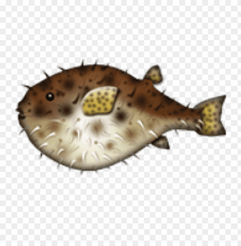 ios, emoji, blowfish