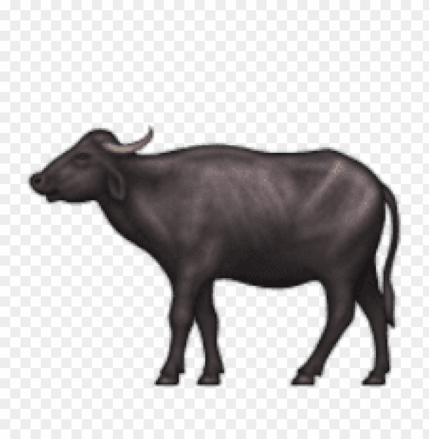 ios, emoji, water, buffalo