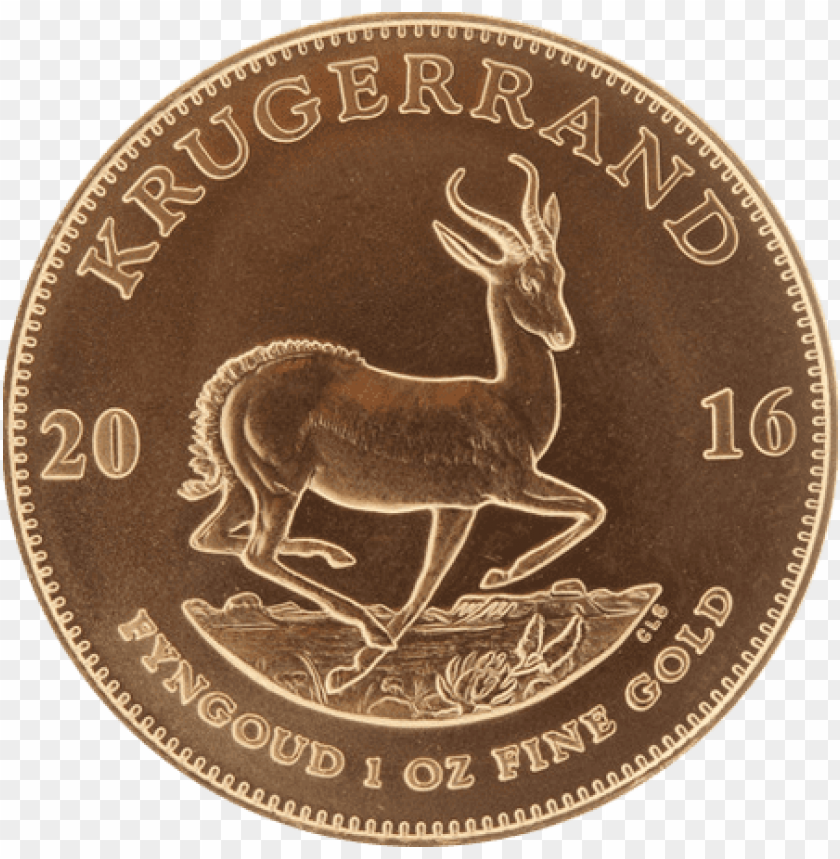 irish gold coin png, png,coin,goldcoin,irish,gold