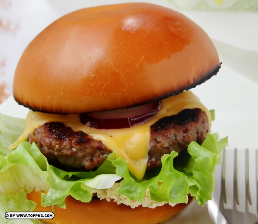 Irresistible Cheesy Hamburger Topped With Onions High Quality Img PNG Transparent Background