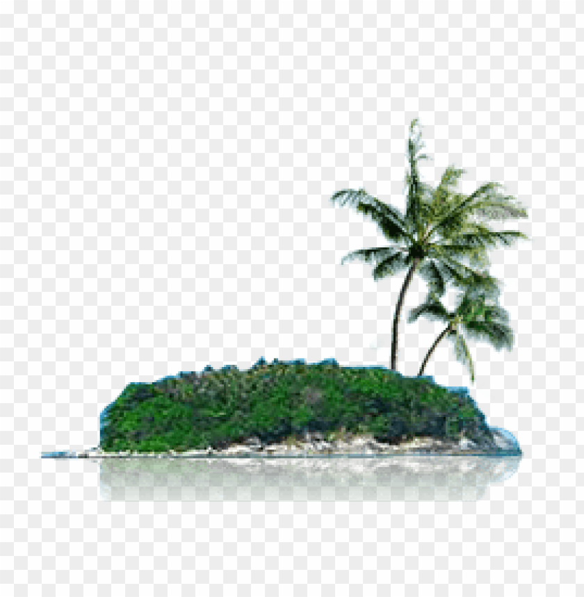 island, tropical, palm trees, vacation, nature