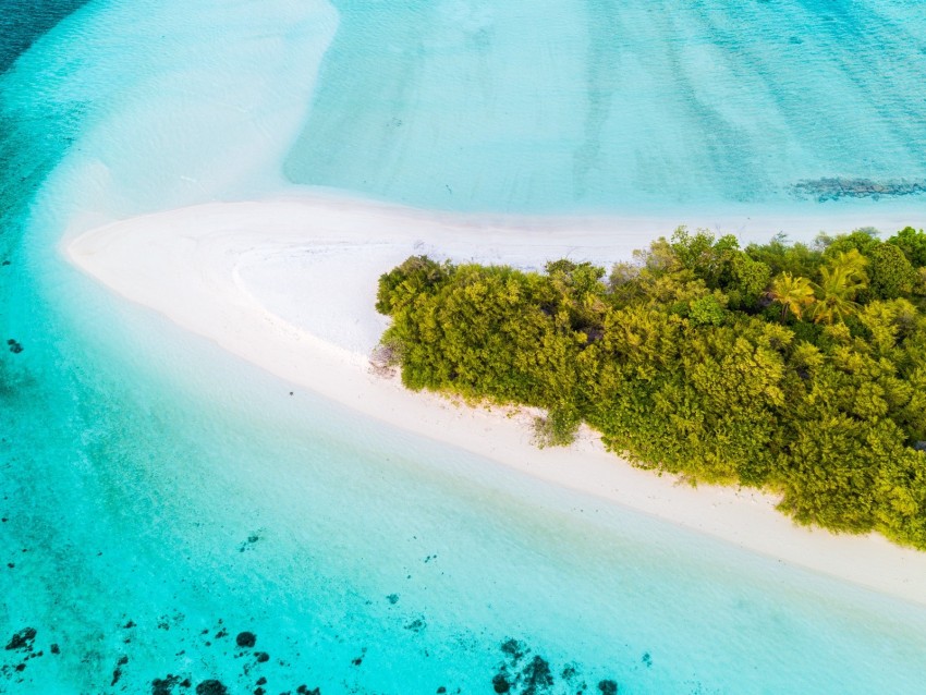 island, aerial view, ocean, tropics, palm trees, beach