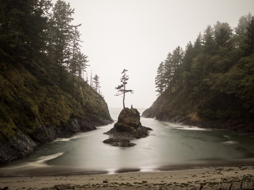 coastal landscape, sea stack, misty forest, tranquil waters, Oregon coast