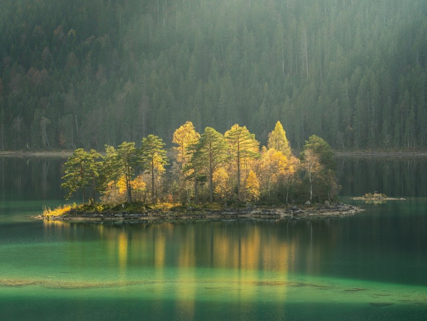 island, lake, trees, fog