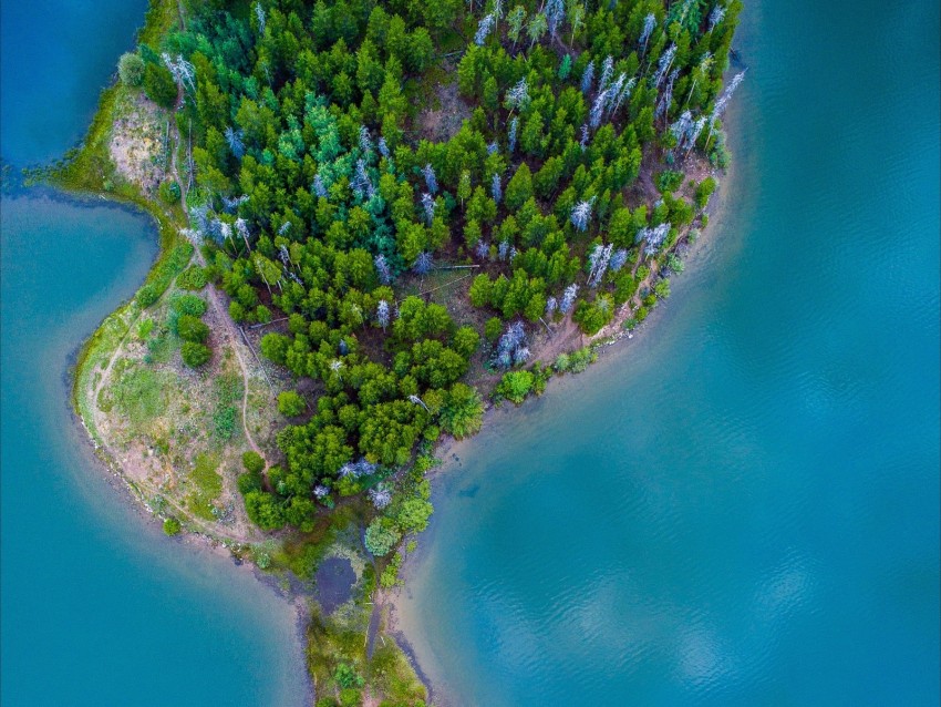 island, ocean, aerial view, paradise, trees