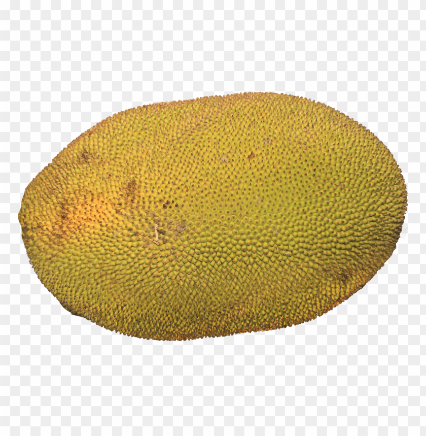 
fruits
, 
jackfruit
, 
jakfruit
, 
jack
, 
jak
