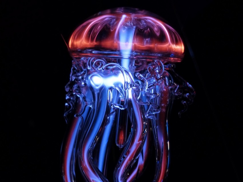 Jellyfish Glass Light Artificial Tentacles Glowing Background