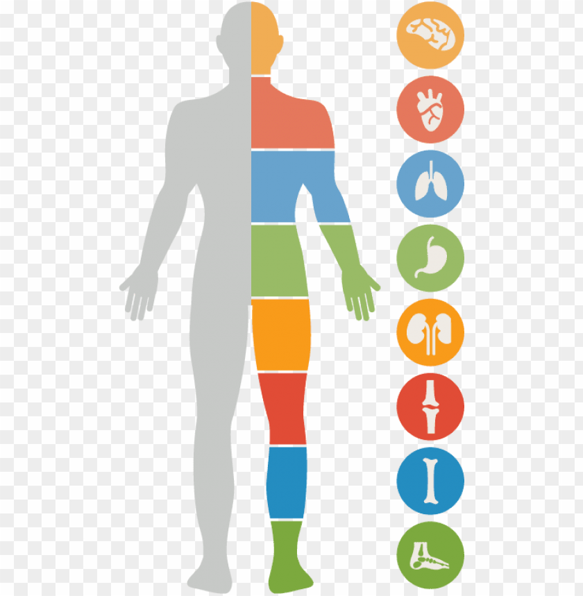 effect, chart, health, venn diagram, nature, circle, human