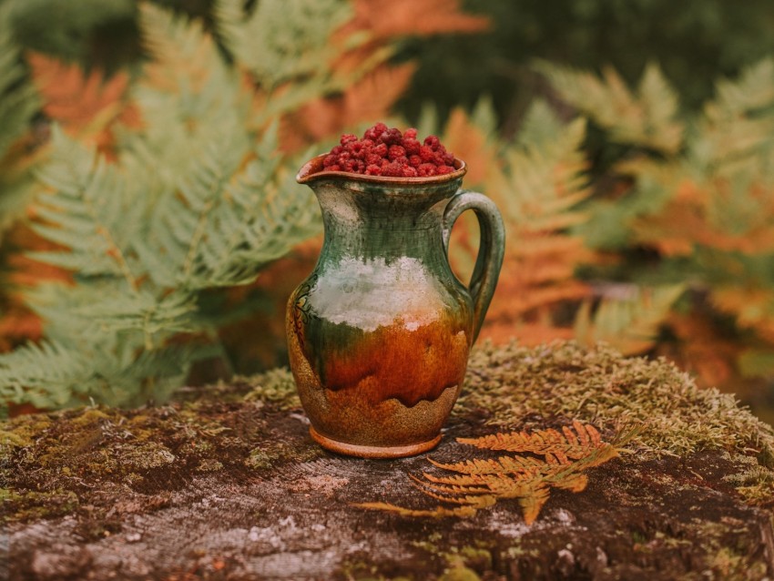 Jug Raspberries Berries Nature Autumn Background