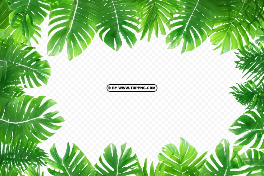 Leaves Frame, Leaves Frame Transparent PNG, Leaves Frame PNG, Nature Frame PNG, Nature Frame Transparent PNG, Nature Frame, Forest Frame PNG