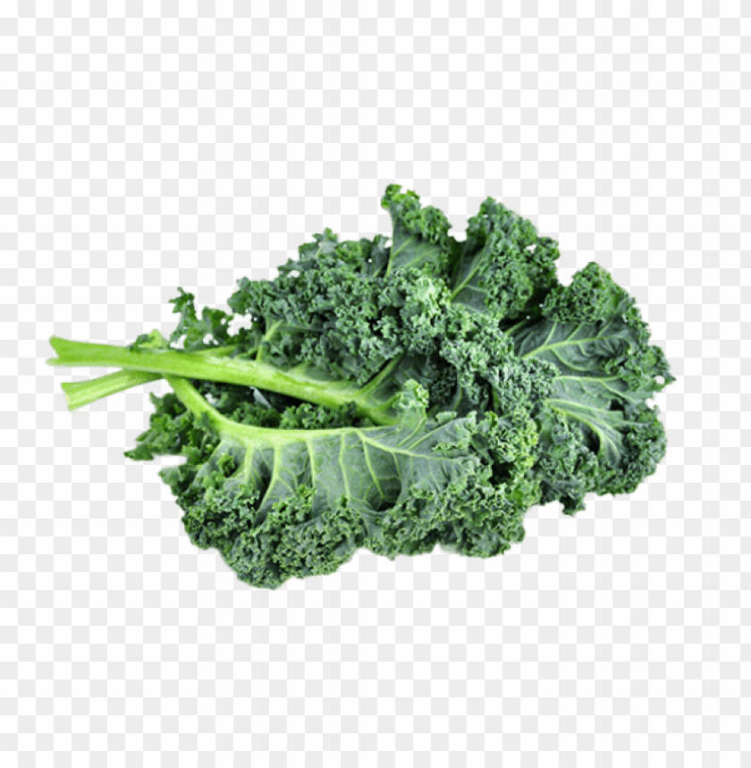 Kale, Nutritional Benefits, Recipes, Organic Farming, Health Tips