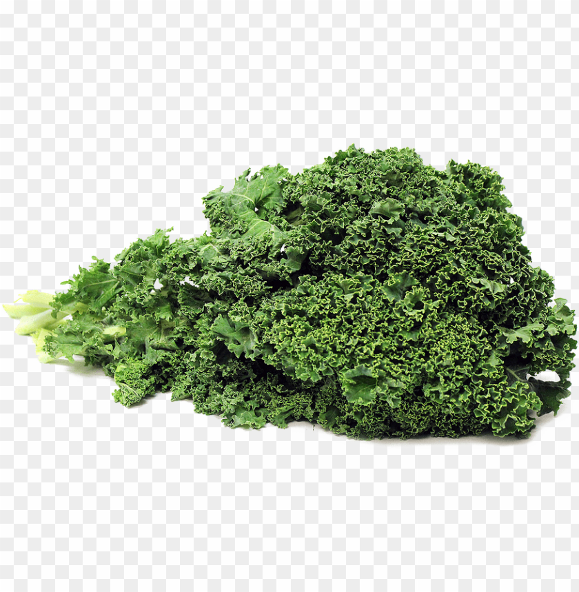 kale,nutrition,recipes,health benefits,organic