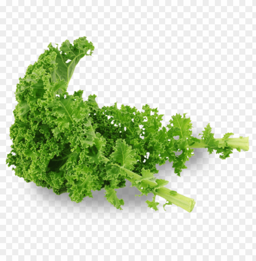 Kale, Nutritional benefits, Recipes, Organic farming, Health tips